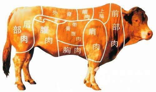 牛肉：这五类人不能食用，不能马虎会有危险